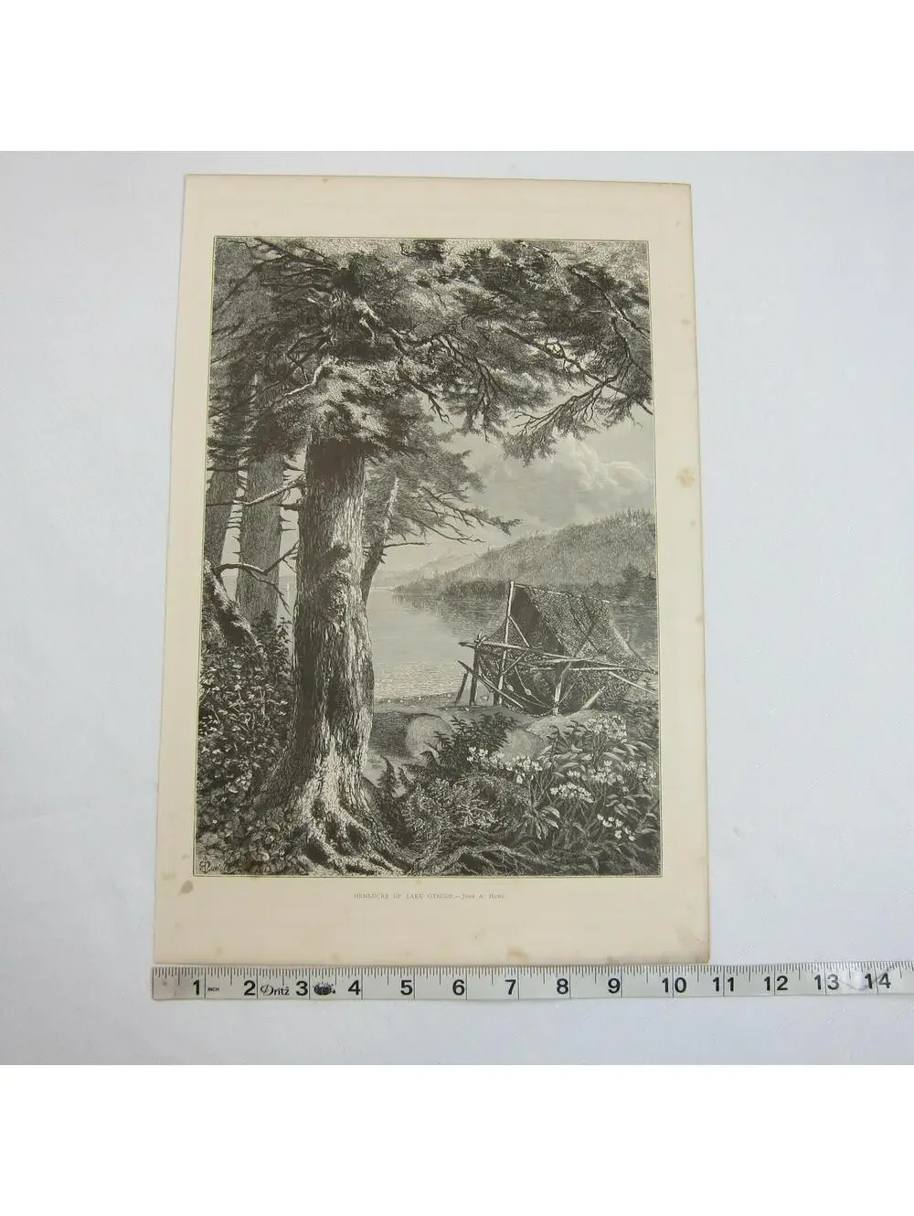 Art Print Hemlock Trees Lake Otsego New York Nature John A. Hows Antique 1874